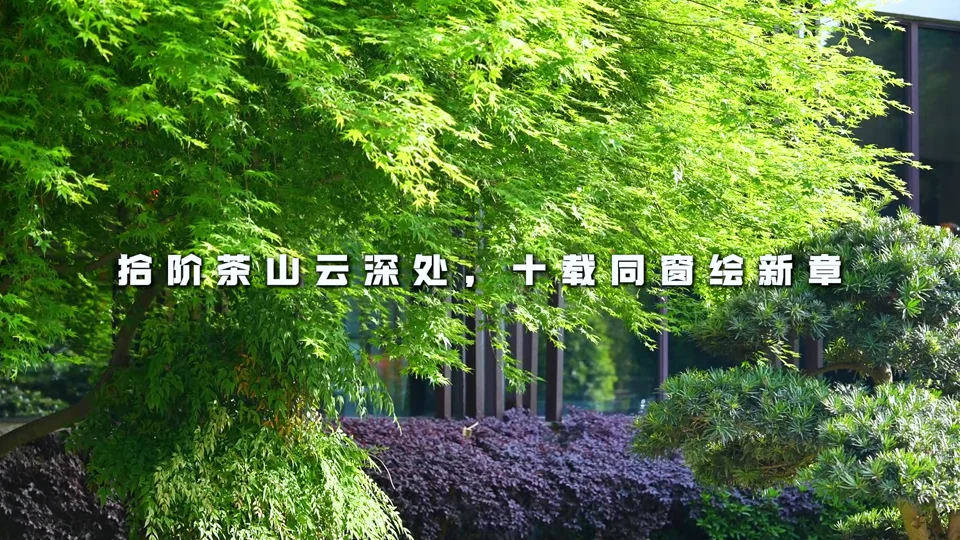 班级片分镜：回到这段共同记忆
