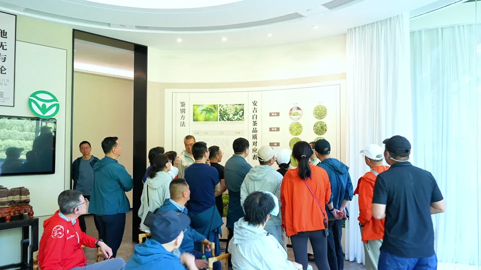 班级片分镜：再做一次同学